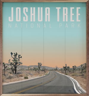 Joshua Tree National Park Road